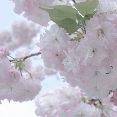 兽设场景透视教程福瑞交流群